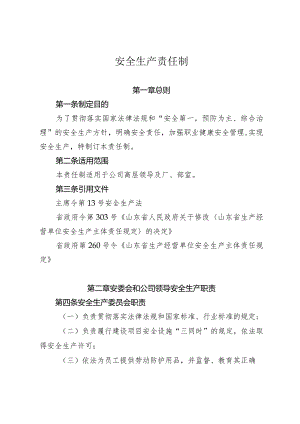 安全生产责任制.docx
