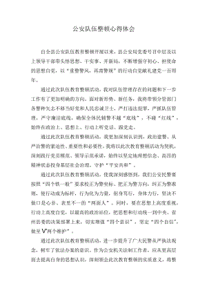 公安队伍整顿心得体会(10篇).docx