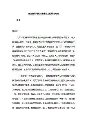 在全县共同富裕推进会上的讲话两篇.docx