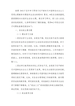 国企2023年教育专题组织生活支部班子检查材料范文两篇.docx