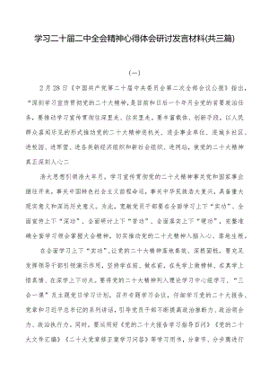 学习二十届二中全会精神心得体会研讨发言材料（共三篇）.docx