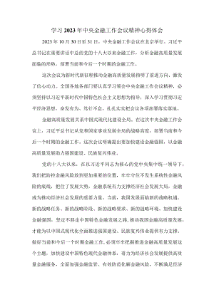 学习2023年中央金融工作会议精神心得体会1.docx