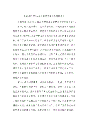 党委书记2023年抓基层党建工作述职报告.docx
