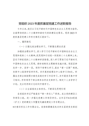 党组织2023年度抓基层党建工作述职报告.docx