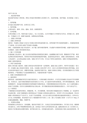 养护专项方案.docx
