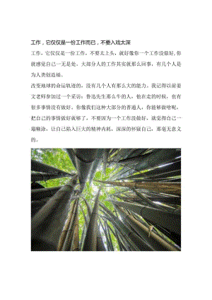 工作它仅仅是一份工作而已不要入戏太深.docx