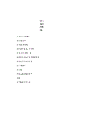 党支部组织机构：.docx