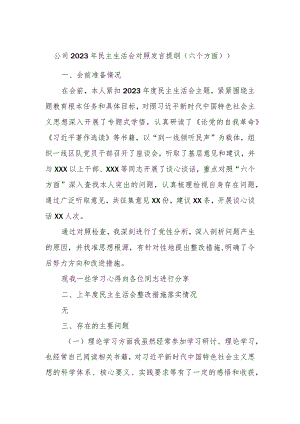 公司2023年民主生活会对照发言提纲（六个方面））.docx