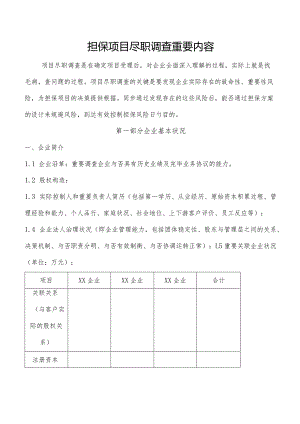 担保项目尽调主要信息详解.docx