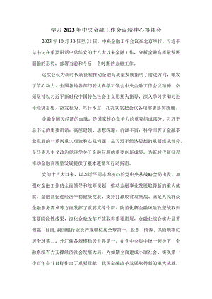 学习2023年中央金融工作会议精神心得体会2.docx