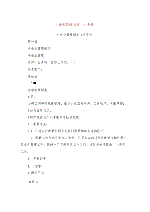 小企业管理制度(小企业).docx