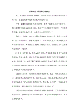 庆祝改革开放45周年心得体会2.docx