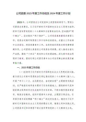 公司团委2023年度工作总结及2024年度工作计划.docx