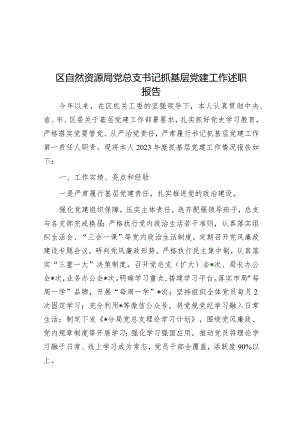 区自然资源局党总支书记抓基层党建工作述职报告.docx