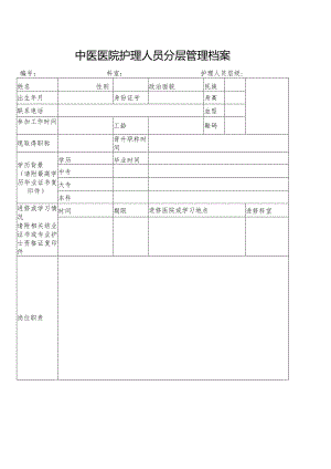 护理人员分层管理档案.docx