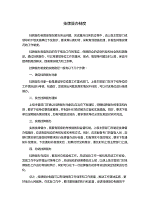 挂牌督办制度.docx