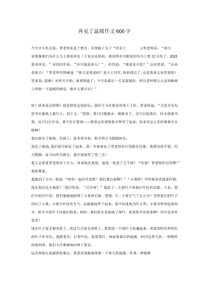 再见了温暖作文600字.docx