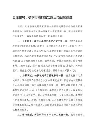 在全县项目建设冬季行动会议上的发言.docx