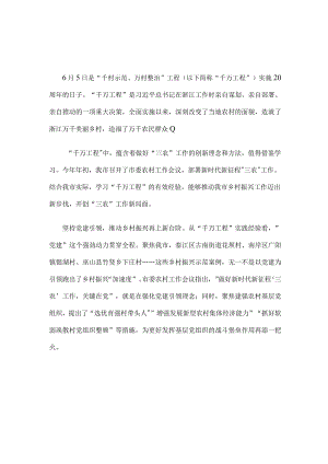 学习“千村示范、万村整治”工程经验心得体会.docx