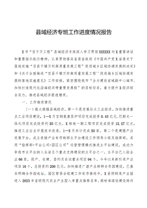 县域经济专班工作进展情况报告.docx