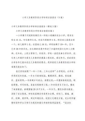 小学义务教育阶段办学标准自查报告（3篇）.docx