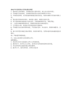 房地产开发有限公司司机岗位职责.docx