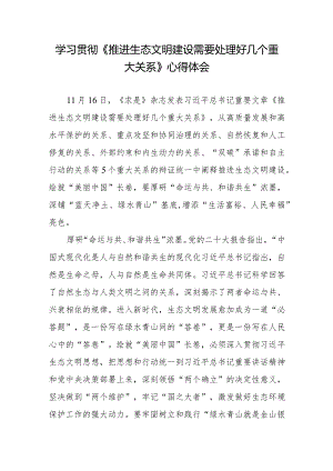 学习领悟《推进生态文明建设需要处理好几个重大关系》心得体会3篇.docx