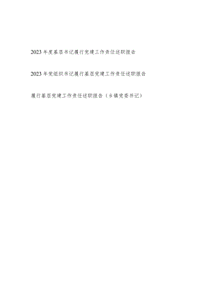 党委党支部党组织书记2023-2024年度履行基层党建工作责任述职报告3篇.docx