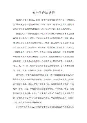 安全生产法感悟.docx