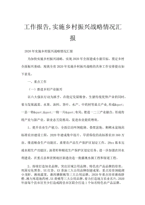 工作报告,实施乡村振兴战略情况汇报.docx