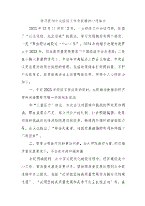 央企单位党员干部《学习贯彻中央经济》工作会议精神心得体会.docx