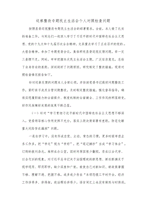 巡察整改专题民主生活会个人对照检查问题.docx