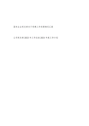 国企党支部关于党建工作进展情况汇报和公司党支部2023年工作总结2024年度工作计划.docx