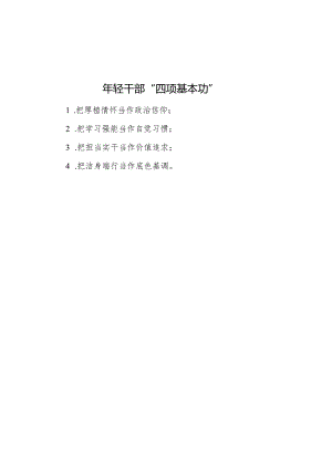 公文写作：年轻干部“四项基本功”.docx