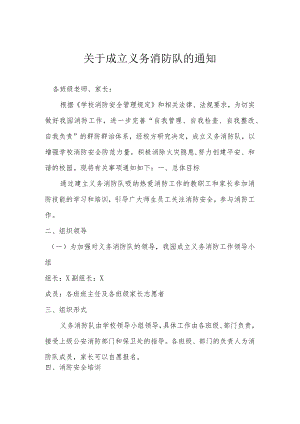 小学成立义务消防队方案.docx