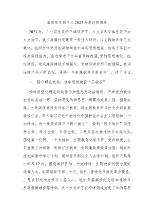 基层党支部书记2023年度述职报告.docx