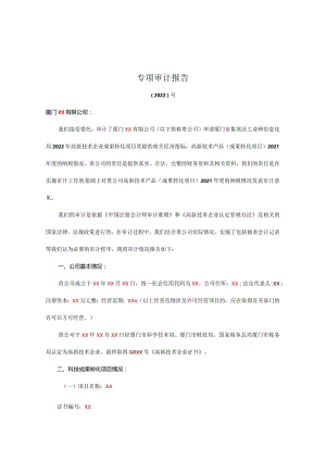 审计报告.docx