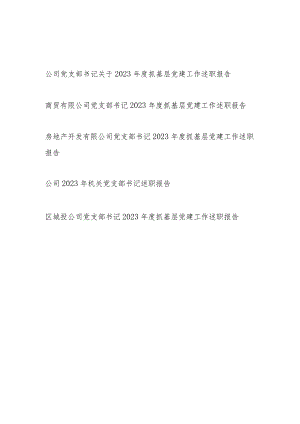 公司党支部书记关于2023-2024年度抓基层党建工作述职报告5篇.docx
