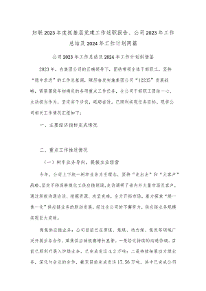 妇联2023年度抓基层党建工作述职报告、公司2023年工作总结及2024年工作计划两篇.docx