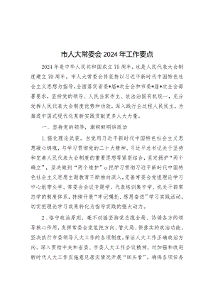 市人大常委会2024年工作要点.docx