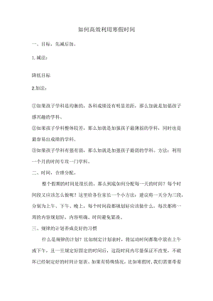 如何高效利用寒假时间.docx