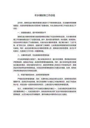 年乡镇财务工作总结.docx