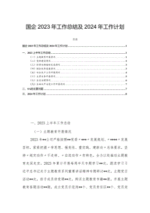 国企2023年工作总结及2024年工作计划.docx