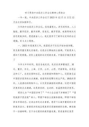 幼儿园教师《学习贯彻中央经济》工作会议精神心得体会（合计3份）.docx