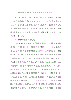 国企公司2023年工作总结及2024年工作计划.docx