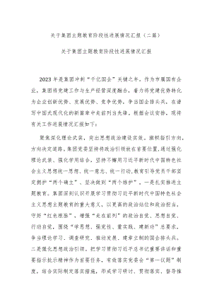 关于集团主题教育阶段性进展情况汇报(二篇).docx