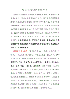 党支部书记怎样抓学习.docx