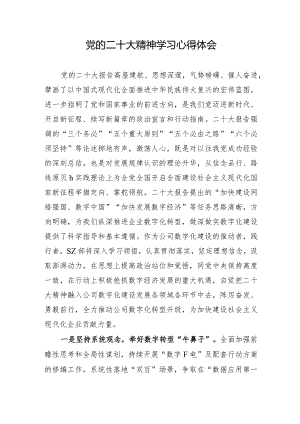 党的二十大精神学习心得与体会.docx