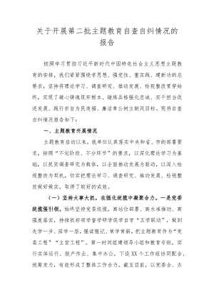 关于开展第二批主题教育自查自纠情况的报告.docx