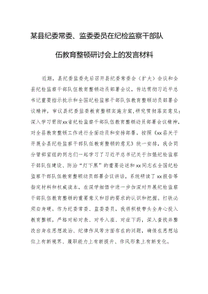 在纪检监察干部队伍教育整顿研讨会上的发言材料4篇.docx